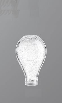 DZ-008  